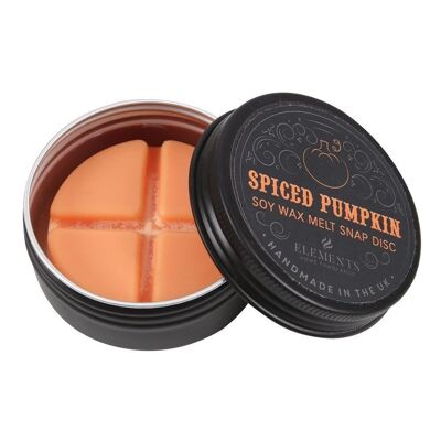 Spiced Pumpkin Sojawachs Snap Disc