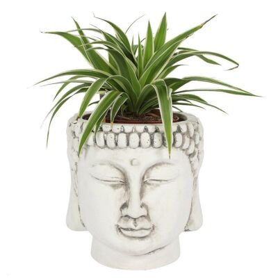 Weißer Terrakotta-Pflanzer mit Buddha-Kopf