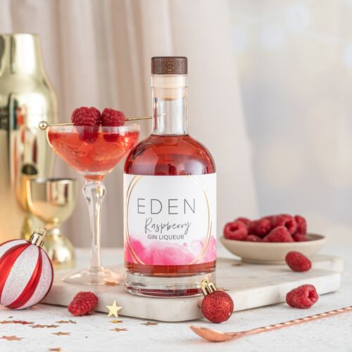 Raspberry Gin Liqueur (Vegan & Gluten-Free)