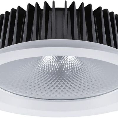 FERON LED downlight for commercial lighting | Model Al251 | Warehouse, Commerce, office led lights Lamp | Recessed LED downlight | two
