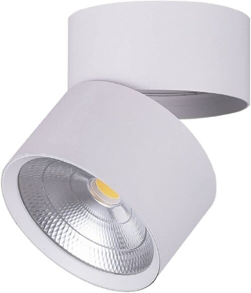 Compra Lampada da parete LED Feron Surface, Faretti a soffitto a LED  Faretti a superficie girevole, Faretti LED da interno 2415LM, Lampada faretto  da soffitto IP40