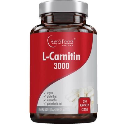 L-Carnitin - 250 Kapseln