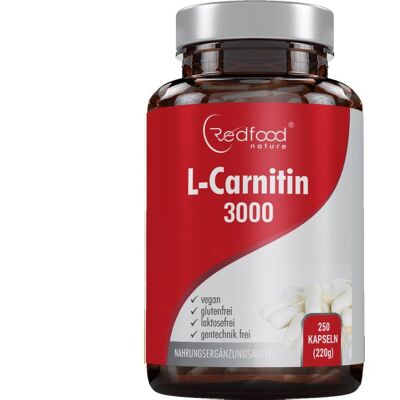L-Carnitin - 250 Kapseln