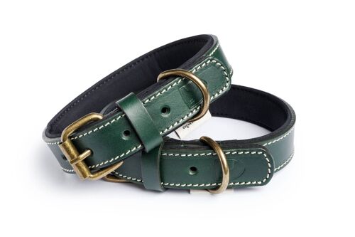 Neo Forest Green Collar