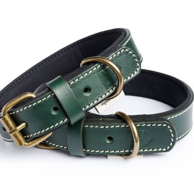 Collar Neo Verde Bosque