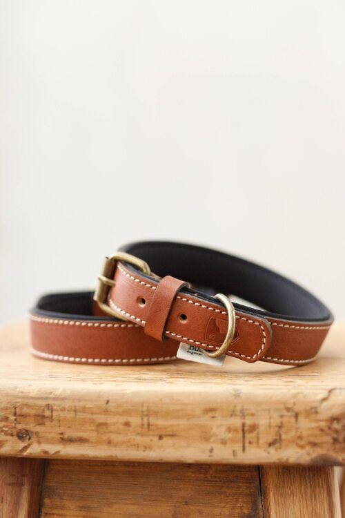 Neo Brown Collar