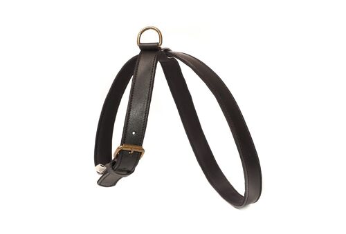 Neo Black Harness