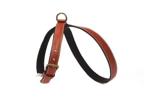 Neo Brown Harness