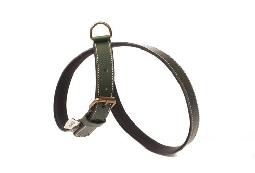 Neo Forest Green Harness