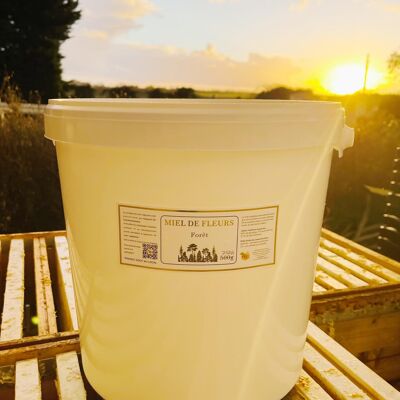 Forest Honey in 25KG bucket (France)