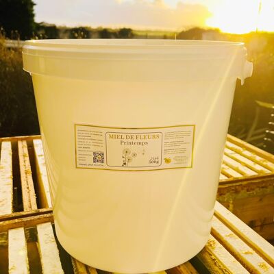Spring honey in 25KG bucket (France)