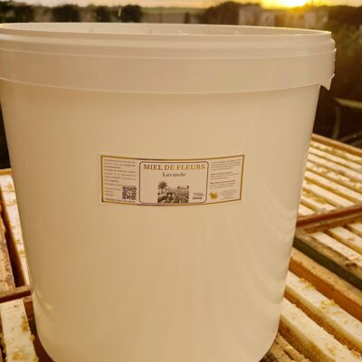Lavender Honey in 25KG bucket (France)
