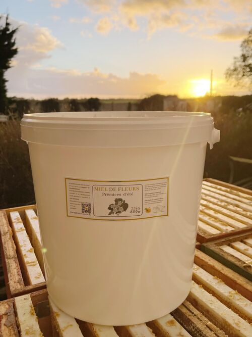Miel de prémices d'été (Tilleul) en seau de 25KG (France)