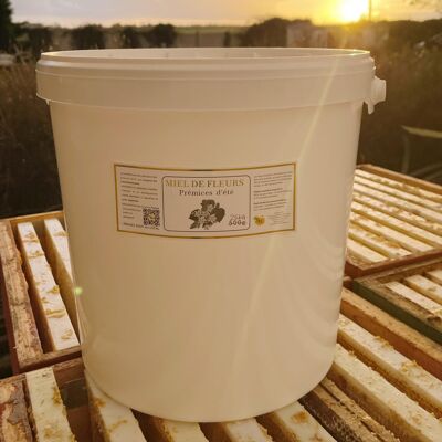 Summer early fruits honey (Linden) in 25KG bucket (France)