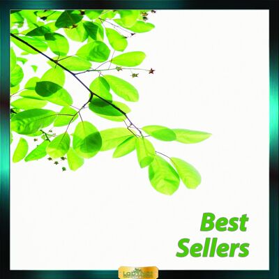 Starter Kit " Best Sellers "