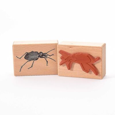 Título del sello con motivo: Hermoso escarabajo de tierra