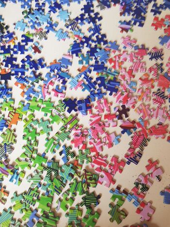 Flamants Roses - Puzzle 1000 pièces 5