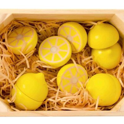 5 Zitronen mit Magnet in einer Schachtel