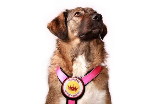 Brustgeschirr - Patch&Style - Pink-Black - XS - Hunde ab 6kg/25cm