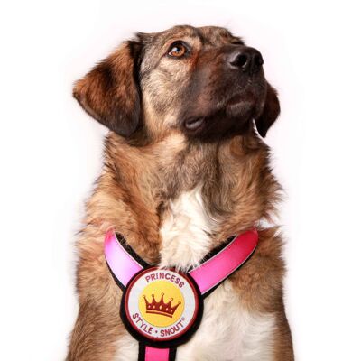 Brustgeschirr - Patch&Style - Pink-Black - XS - Hunde ab 6kg/25cm