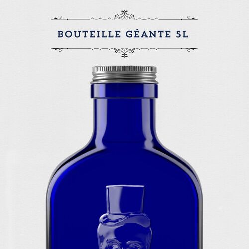 Bouteille Gin 5L 50% Vol