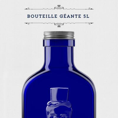 Botella Ginebra 5L 50% Vol.