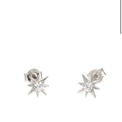 Loise Silver Earrings - Mint Flower -