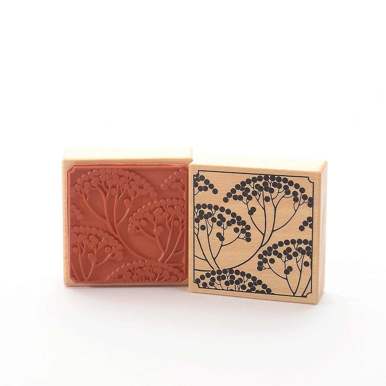 Timbro motivo Titolo: Sambuco quadrato