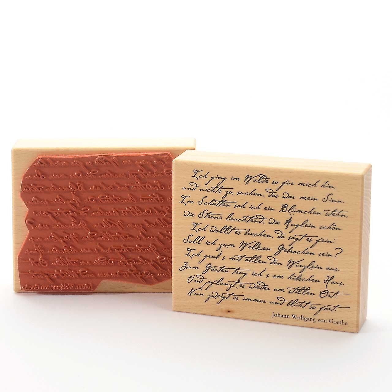 Titolo francobollo motivo: Ho camminato nella foresta ....