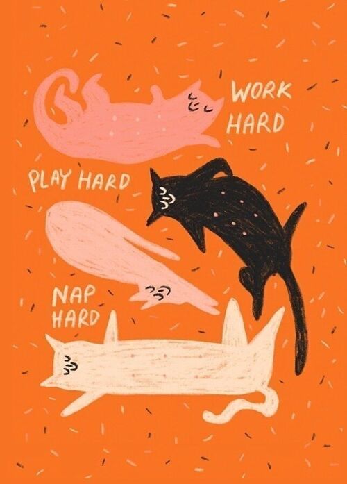 Postkarte - Work Hard, Play Hard, Nap Hard

| Grußkarte
