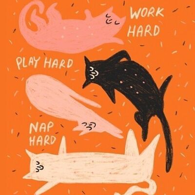 Postkarte - Work Hard, Play Hard, Nap Hard

| Grußkarte