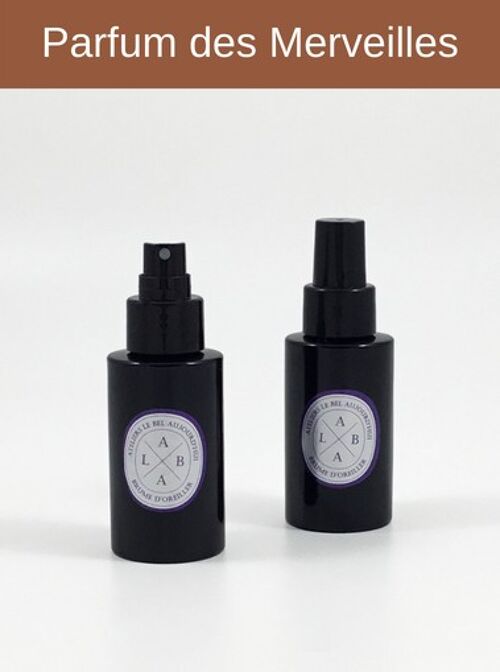 Spray d'ambiance rechargeable 100 ml - Parfum des Merveilles