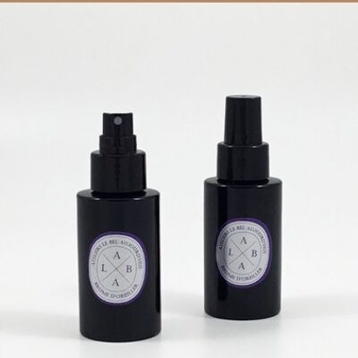 Spray d'ambiance rechargeable 100 ml - Parfum L'Eveil du Monde