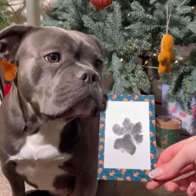 Kit regalo di Natale per impronte di zampe di animali domestici per cani e gatti: kit a tema omini di pan di zenzero