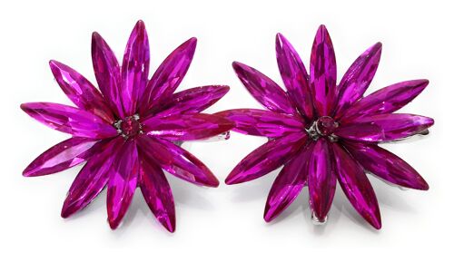 Pendientes Cristales Margarita · Fucsia Claro, Plata