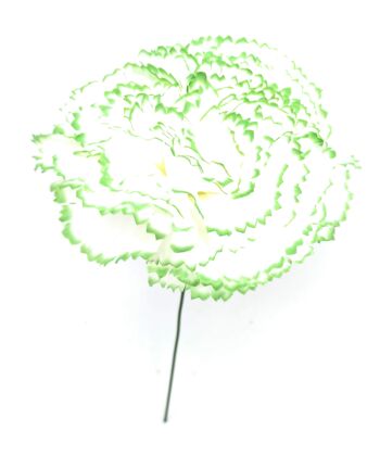 Grand Oeillet Fleur de Cheveux Flamenco Blanc Vert Ø13cm 1