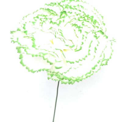 Grand Oeillet Fleur de Cheveux Flamenco Blanc Vert Ø13cm