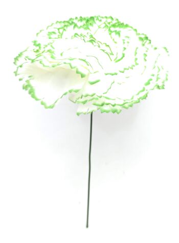 Grand Oeillet Fleur de Cheveux Flamenco Blanc Vert Ø13cm 2