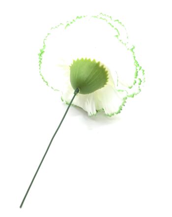 Grand Oeillet Fleur de Cheveux Flamenco Blanc Vert Ø13cm 3