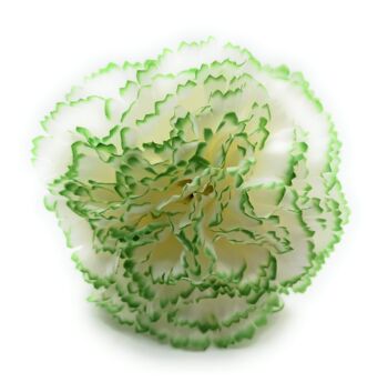 Grand Oeillet Fleur de Cheveux Flamenco Blanc Vert Ø13cm 4