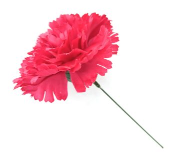 Grand Oeillet Fleur de Cheveux Flamenco Fuchsia Ø13cm 2