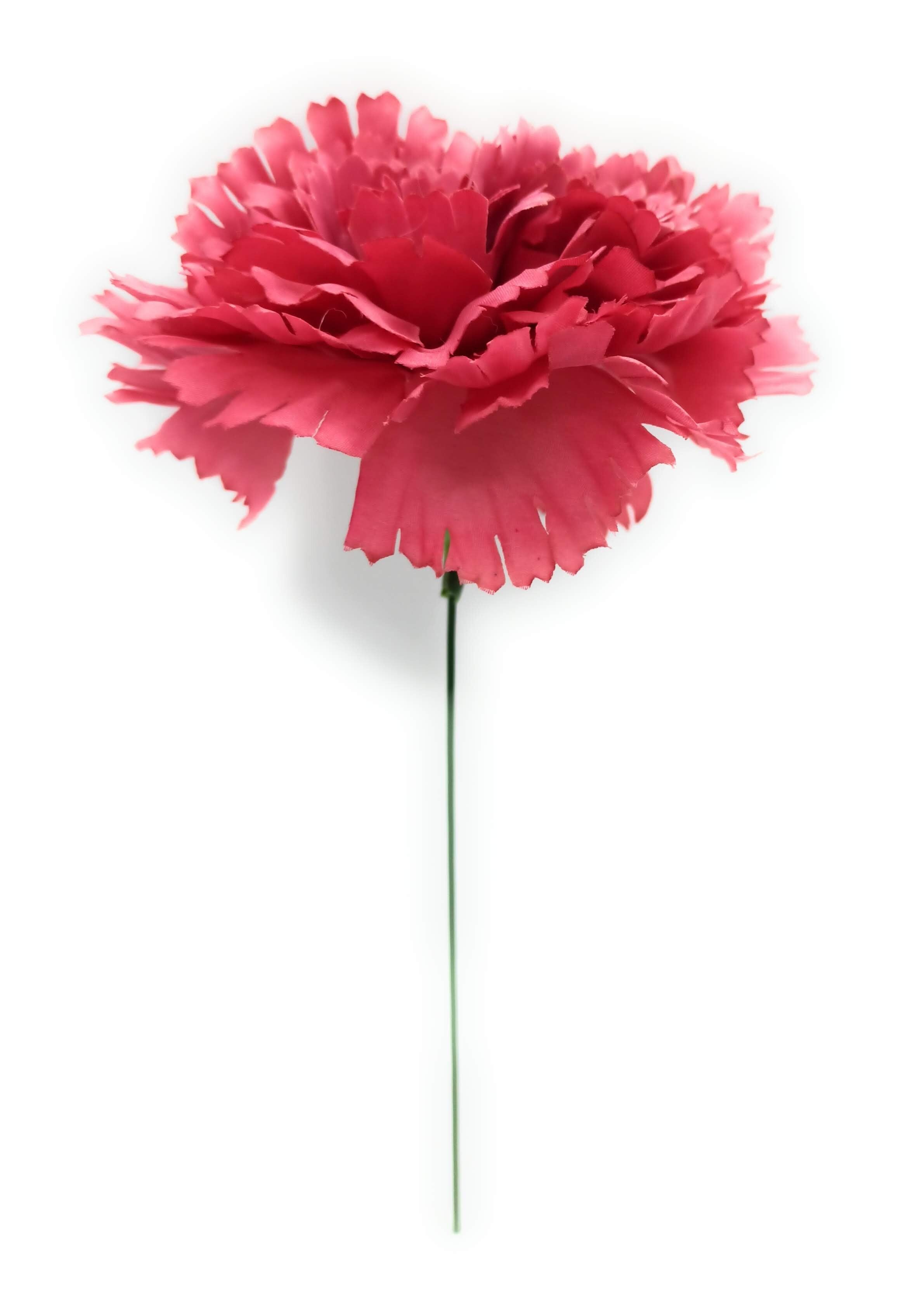 Grande Garofano Flamenco Fiore per capelli Lampone Ø13cm