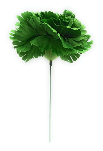 Grand Oeillet Fleur de Cheveux Flamenco Vert Forêt Ø13cm 3