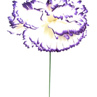 Large Carnation Flamenco Hair Flower Ivory Purple Ø13cm