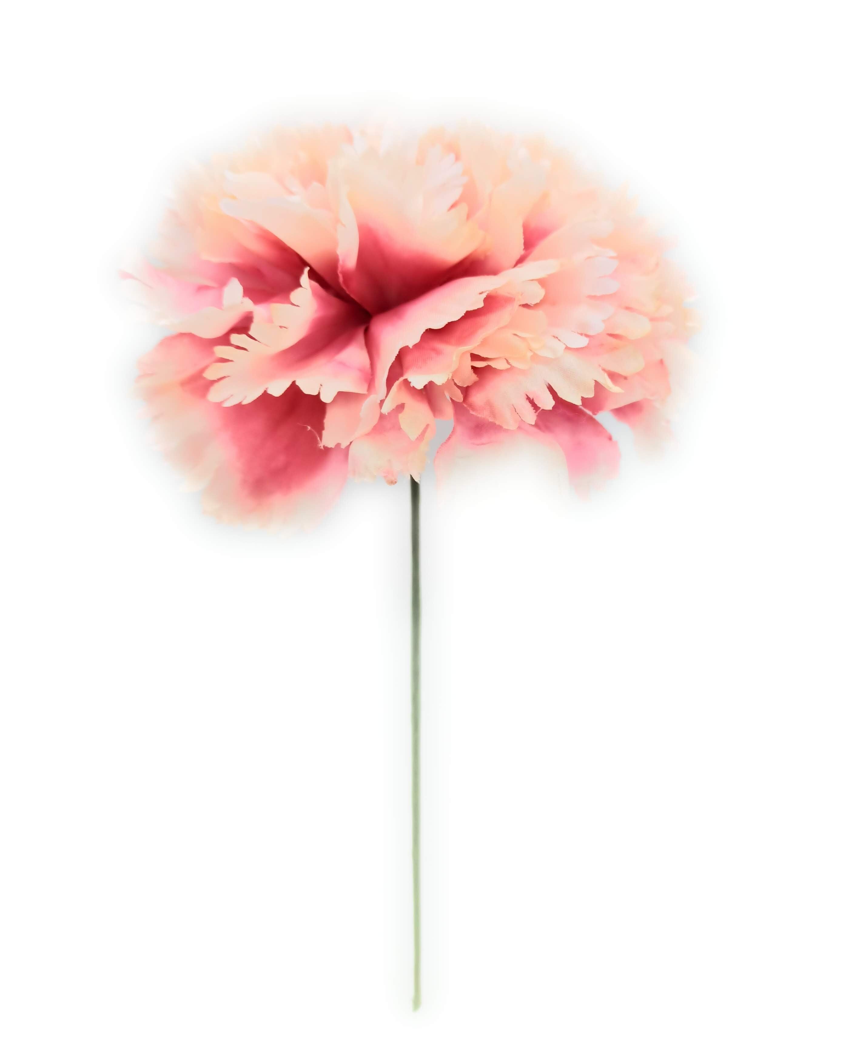 Grande Garofano Flamenco Capelli Fiore Avorio Rosa Ø13cm