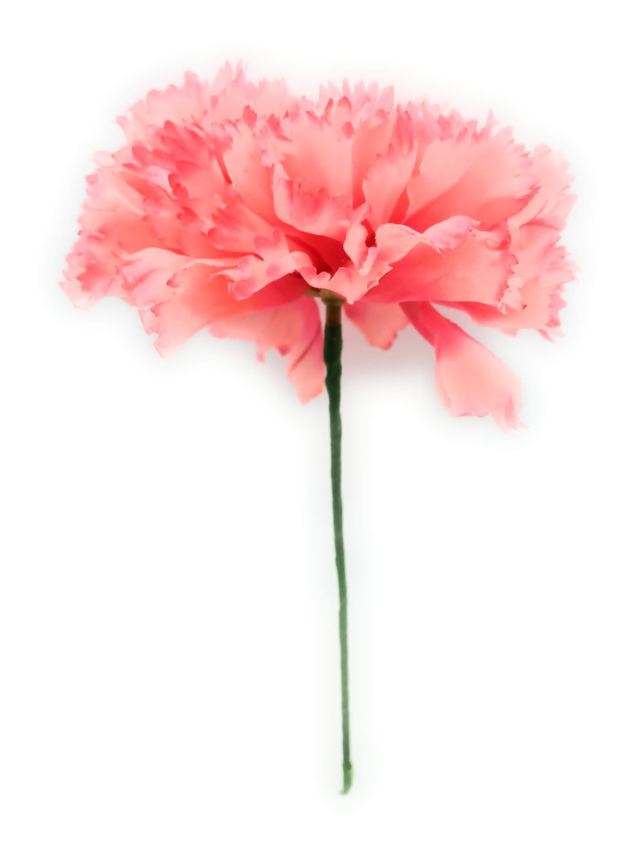 Grande Garofano Flamenco Capelli Fiore Salmone Ø13cm