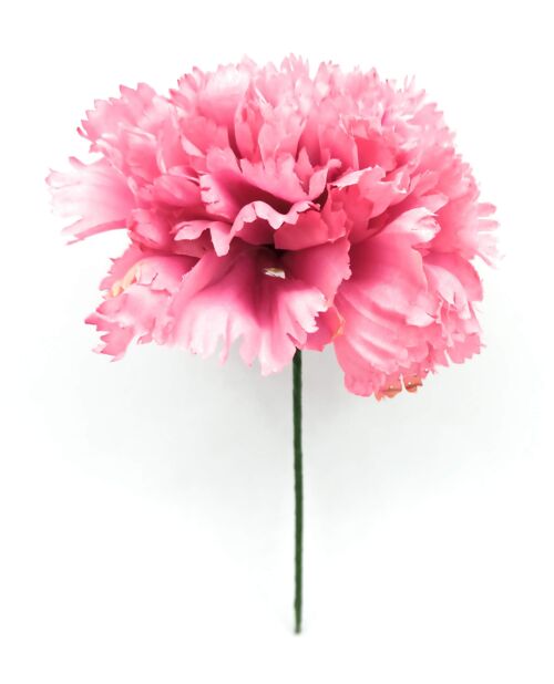 Clavel Grande Flamenco Flor Pelo · Rosa Acuarela Ø13cm