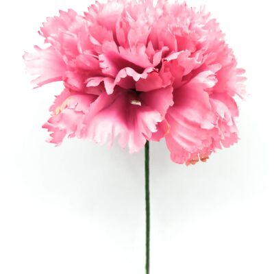 Große Nelke Flamenco Blume Haar Rosa Aquarell Ø13cm