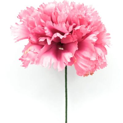 Große Nelke Flamenco Blume Haar Rosa Aquarell Ø13cm