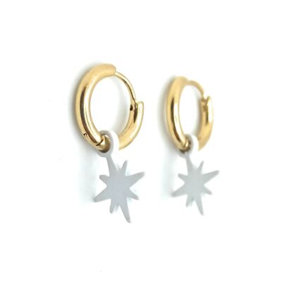 Earrings with Pendants Golden Hoop White Star